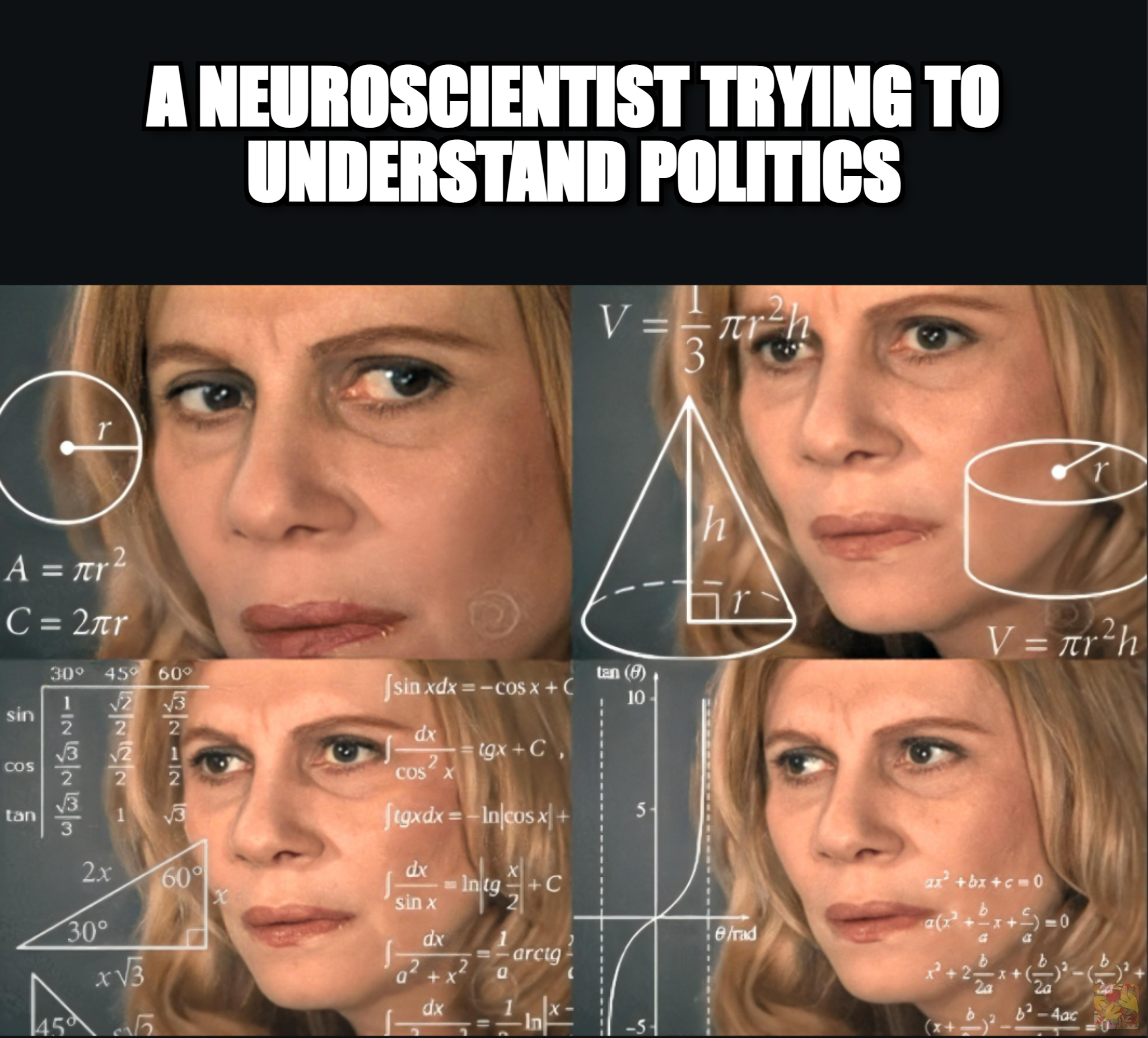 Confused math lady captioned: a neuroscientist trying to understand politics