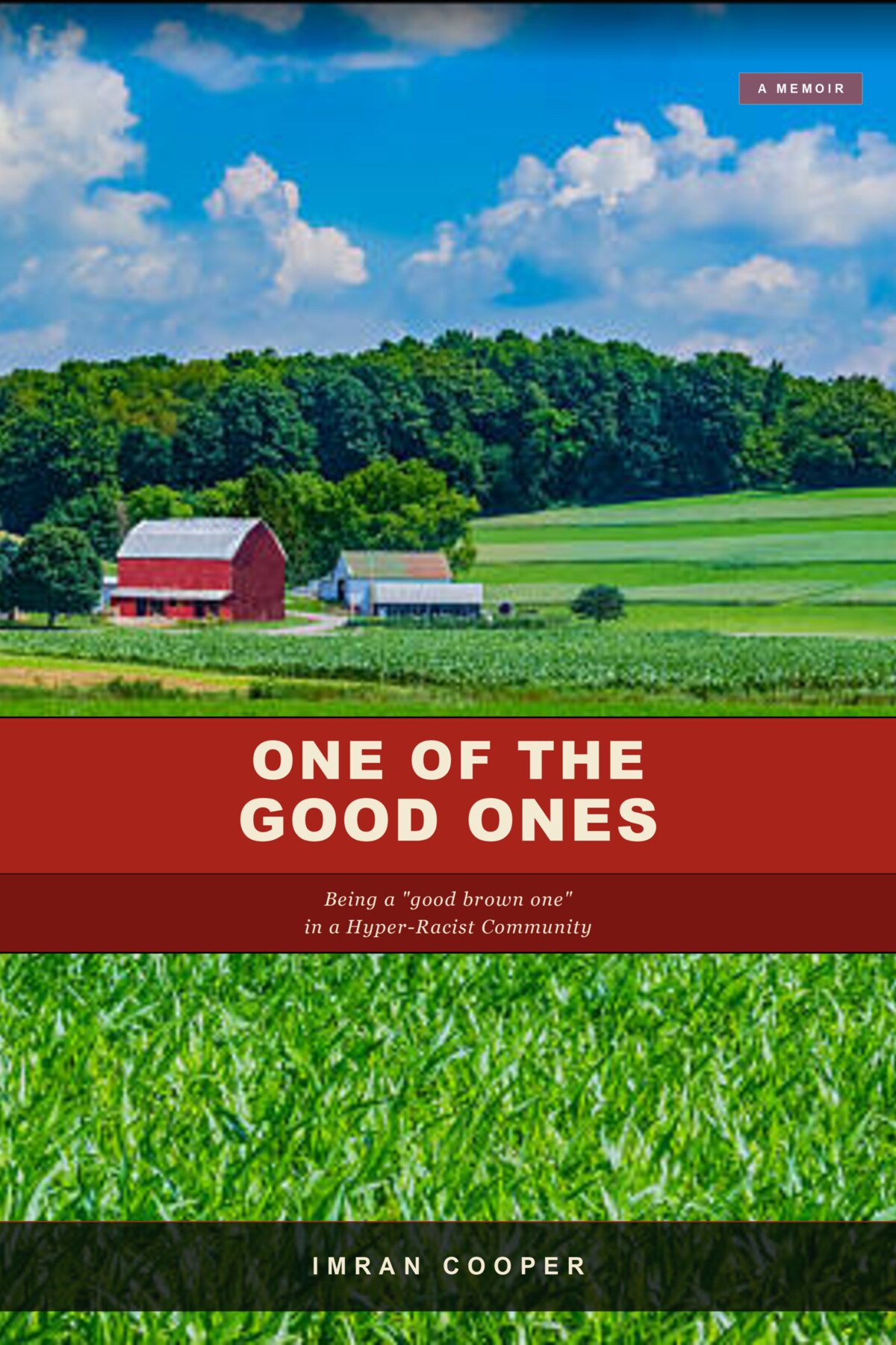 One of the Good Ones