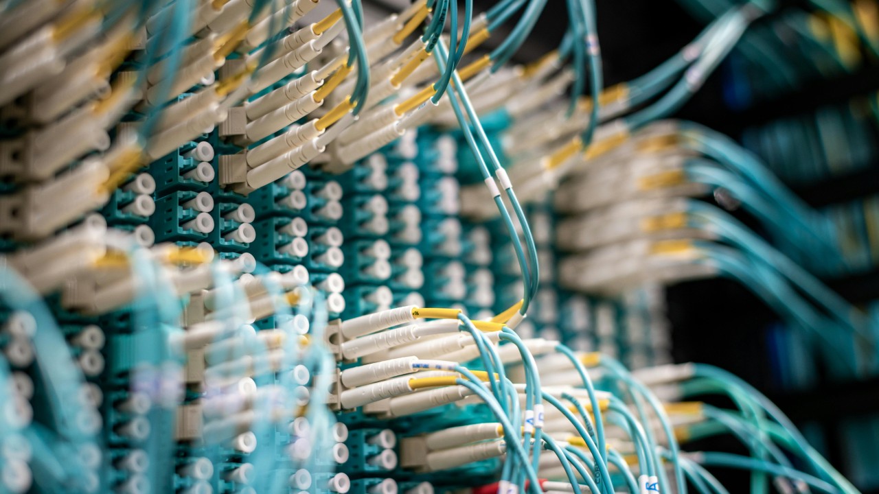 A dense bundle of fiber-optic network cables