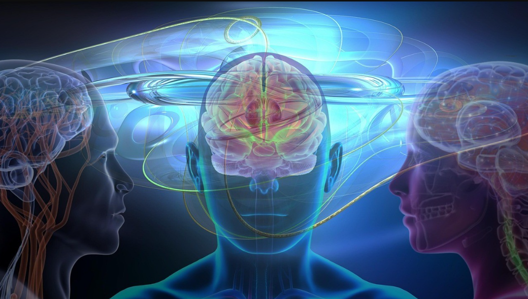 Brain with neural connections